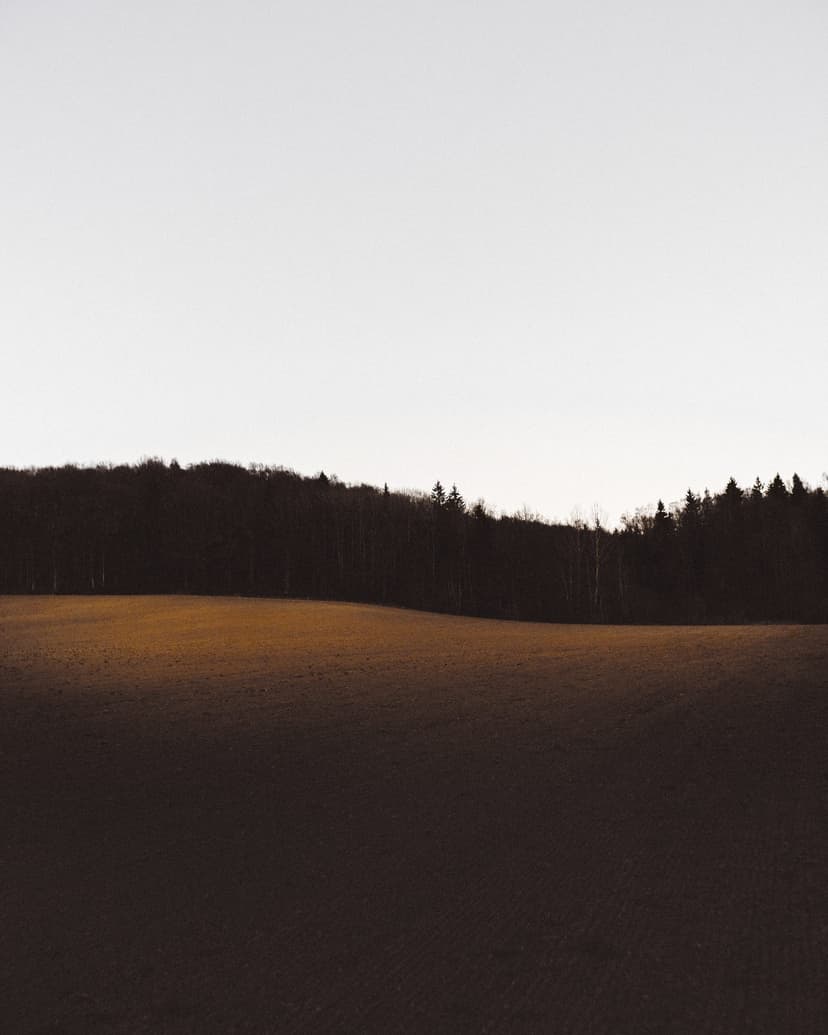 GitHub for Beginners